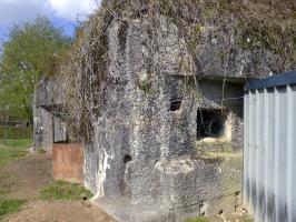 Ligne Maginot - A53 - BELHOMME - (Blockhaus pour canon) - 
