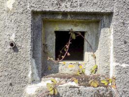 Ligne Maginot - A56 - BOUT D'EN HAUT - (Blockhaus pour canon) - Créneau FM par les entrées
