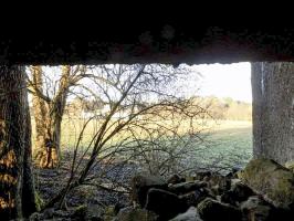 Ligne Maginot - A58 - HIRAUMONT NORD - (Blockhaus pour canon) - Créneau AC, vue vers le nord