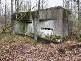 Ligne Maginot - A110 - PETIT MAUVAIS PAS - (Blockhaus pour canon) - 