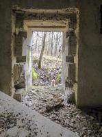 Ligne Maginot - A111 - FOUR à CENDRE - (Blockhaus pour canon) - 