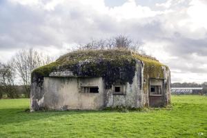 Ligne Maginot - B799 - L'ANGOUNERIE SUD - (Blockhaus pour canon) - 