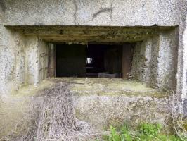 Ligne Maginot - A113 - DEMI LIEUE - (Blockhaus pour canon) - 