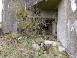 Ligne Maginot - A113 - DEMI LIEUE - (Blockhaus pour canon) - 