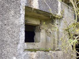 Ligne Maginot - A113 - DEMI LIEUE - (Blockhaus pour canon) - 