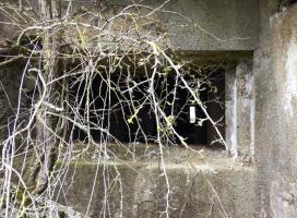 Ligne Maginot - A113 - DEMI LIEUE - (Blockhaus pour canon) - 