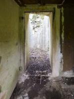 Ligne Maginot - A113 - DEMI LIEUE - (Blockhaus pour canon) - 