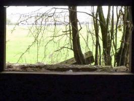 Ligne Maginot - A113 - DEMI LIEUE - (Blockhaus pour canon) - 