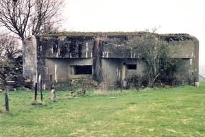 Ligne Maginot - A113 - DEMI LIEUE - (Blockhaus pour canon) - 