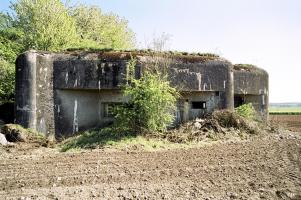 Ligne Maginot - A113 - DEMI LIEUE - (Blockhaus pour canon) - 