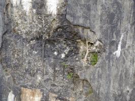 Ligne Maginot - A114 - L'ALOUETTE - (Blockhaus pour canon) - 