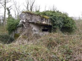 Ligne Maginot - A115 - LES CULEES SUD - (Blockhaus pour canon) - 