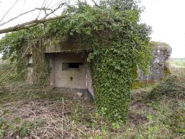 Ligne Maginot - A115 - LES CULEES SUD - (Blockhaus pour canon) - 