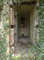 Ligne Maginot - A115 - LES CULEES SUD - (Blockhaus pour canon) - 