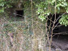 Ligne Maginot - A115 - LES CULEES SUD - (Blockhaus pour canon) - 