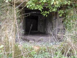Ligne Maginot - A115 - LES CULEES SUD - (Blockhaus pour canon) - 