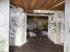 Ligne Maginot - A115 - LES CULEES SUD - (Blockhaus pour canon) - 