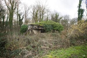 Ligne Maginot - A115 - LES CULEES SUD - (Blockhaus pour canon) - 