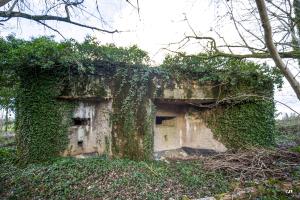 Ligne Maginot - A115 - LES CULEES SUD - (Blockhaus pour canon) - 