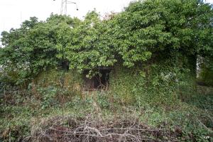 Ligne Maginot - A115 - LES CULEES SUD - (Blockhaus pour canon) - Entrée matériel