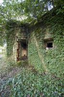 Ligne Maginot - A115 - LES CULEES SUD - (Blockhaus pour canon) - 