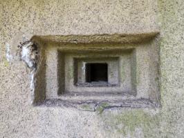 Ligne Maginot - A116 - LES ANORELLES - (Blockhaus pour canon) - L'embrasure Mi du flanquement gauche