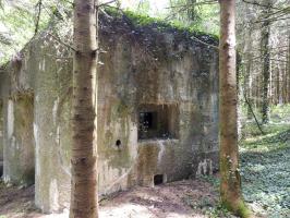 Ligne Maginot - A116 - LES ANORELLES - (Blockhaus pour canon) - L'embrasure de défense des abords