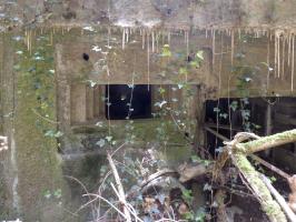 Ligne Maginot - A116 - LES ANORELLES - (Blockhaus pour canon) - L'embrasure de défense de l'entrée du matériel et cette entrée
