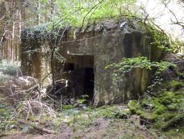 Ligne Maginot - A116 - LES ANORELLES - (Blockhaus pour canon) - L'entrée du matériel et son embrasure de défense
