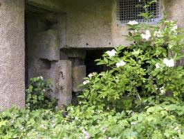 Ligne Maginot - A118 - CHAPELLE BLANCHE - (Blockhaus pour canon) - Entrées