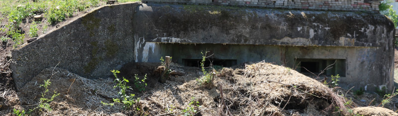 Ligne Maginot - PETIT KINDELBERG NORD-EST - (Blockhaus pour canon) -  - Alain Perouffe