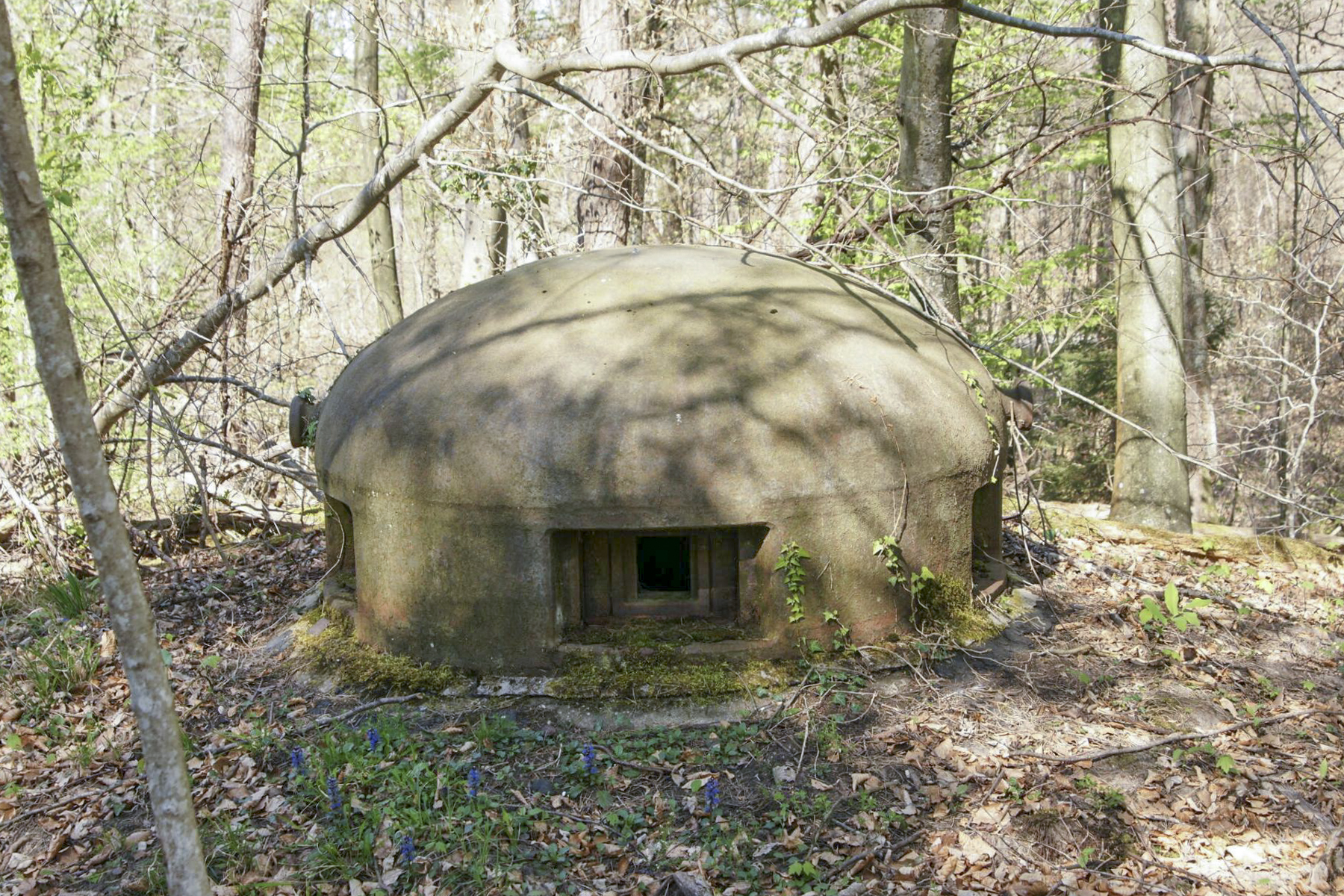 Ligne Maginot - KOENIGSBRUCK - (Abri) - Cloche GFM - duomaxw