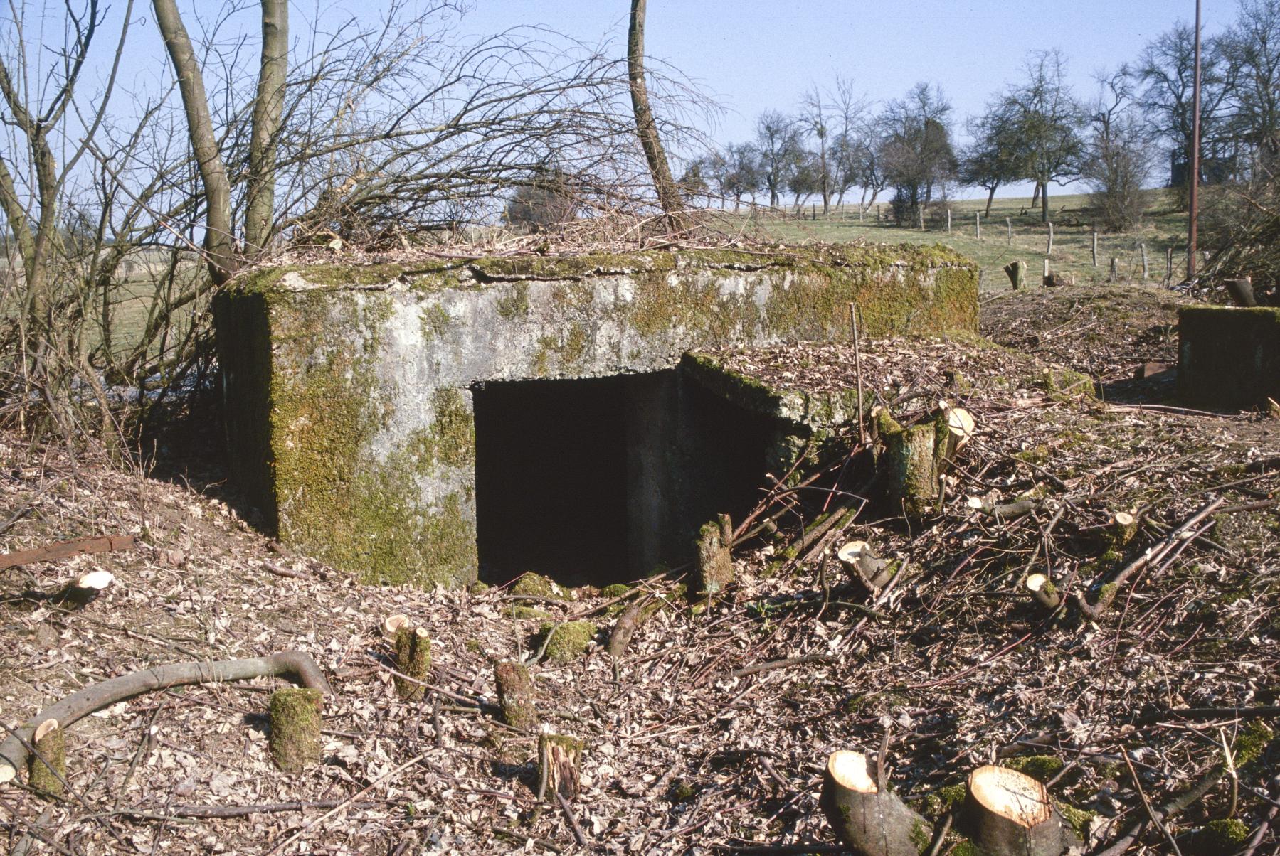 Ligne Maginot - AB3-D - (Blockhaus pour arme infanterie) -  - MANSUY Michel
