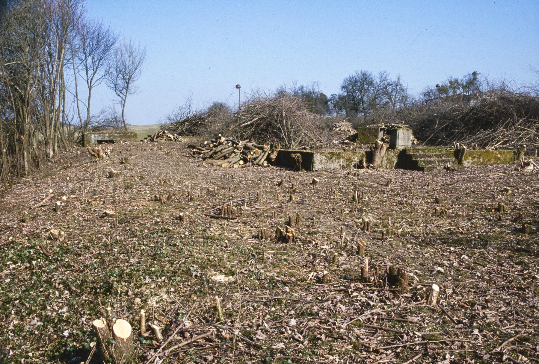 Ligne Maginot - TETING SUD  - (Casernement) - Le terrain - MANSUY Michel