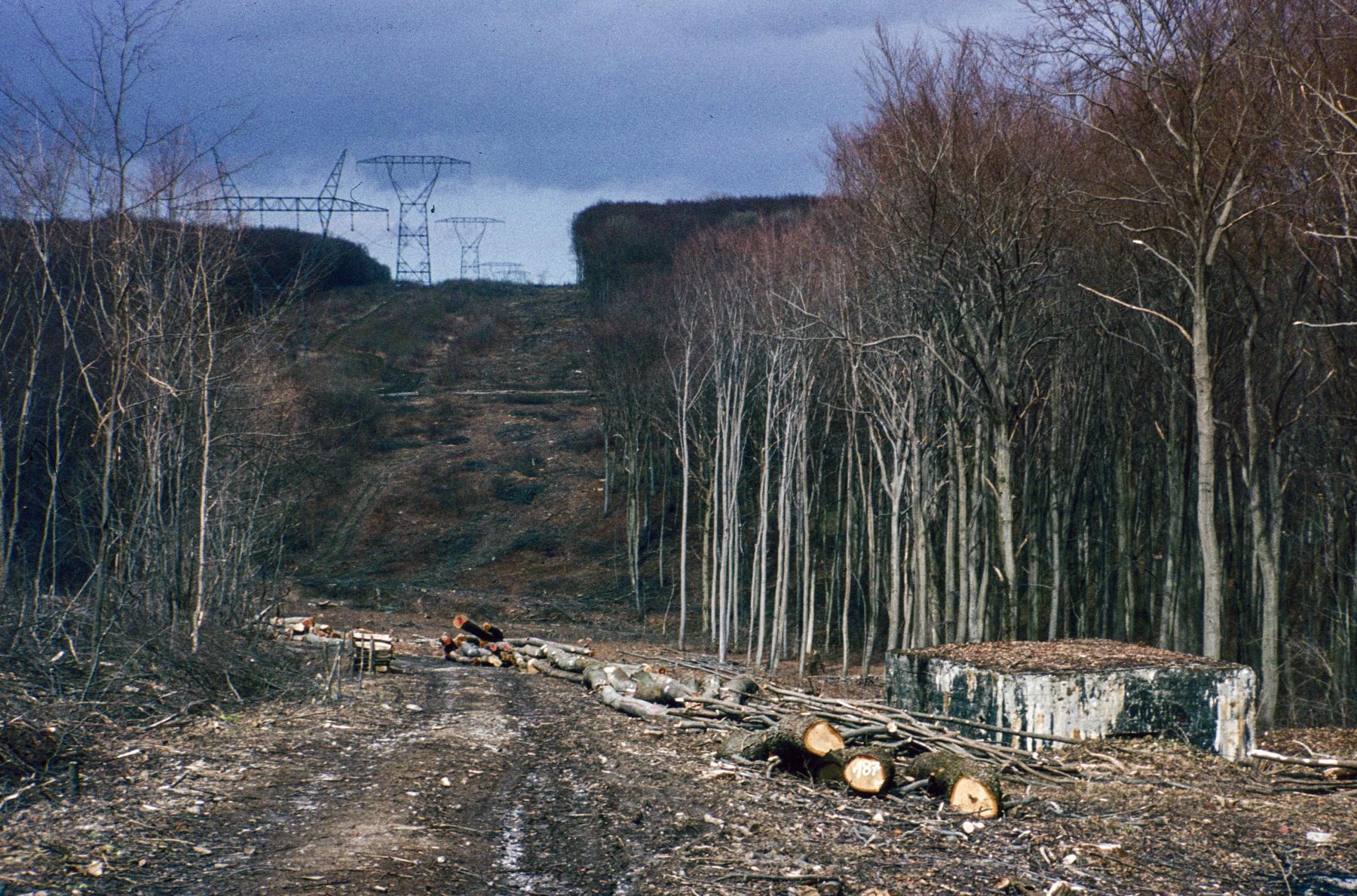 Ligne Maginot - AB5-D - (Blockhaus pour canon) -  - MANSUY Michel
