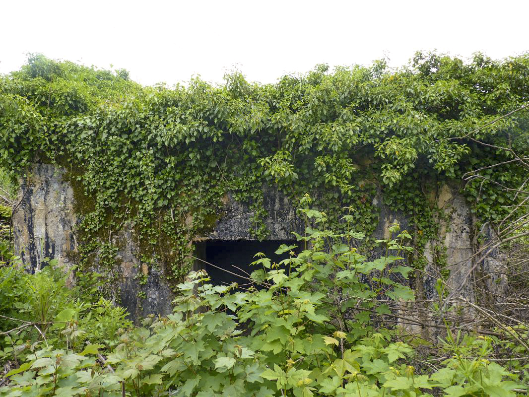 Ligne Maginot - AB5-D - (Blockhaus pour canon) -  - Aditus