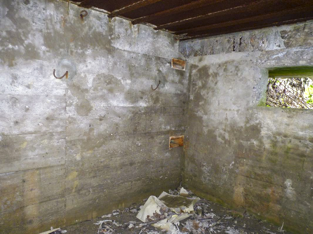 Ligne Maginot - AB5-D - (Blockhaus pour canon) -  - Aditus