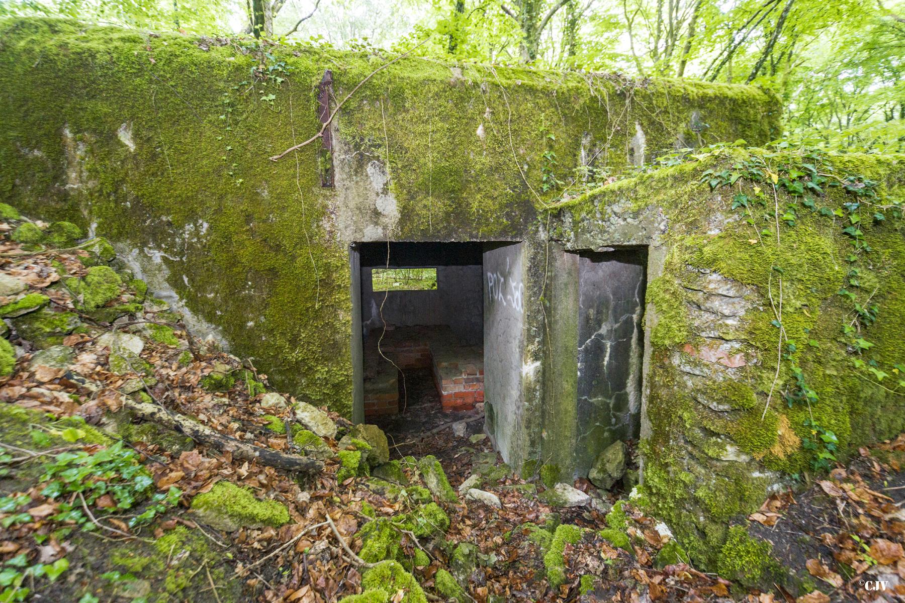 Ligne Maginot - BOIS DE TETING NORD - (Blockhaus pour canon) -  - Lia VERMEULEN