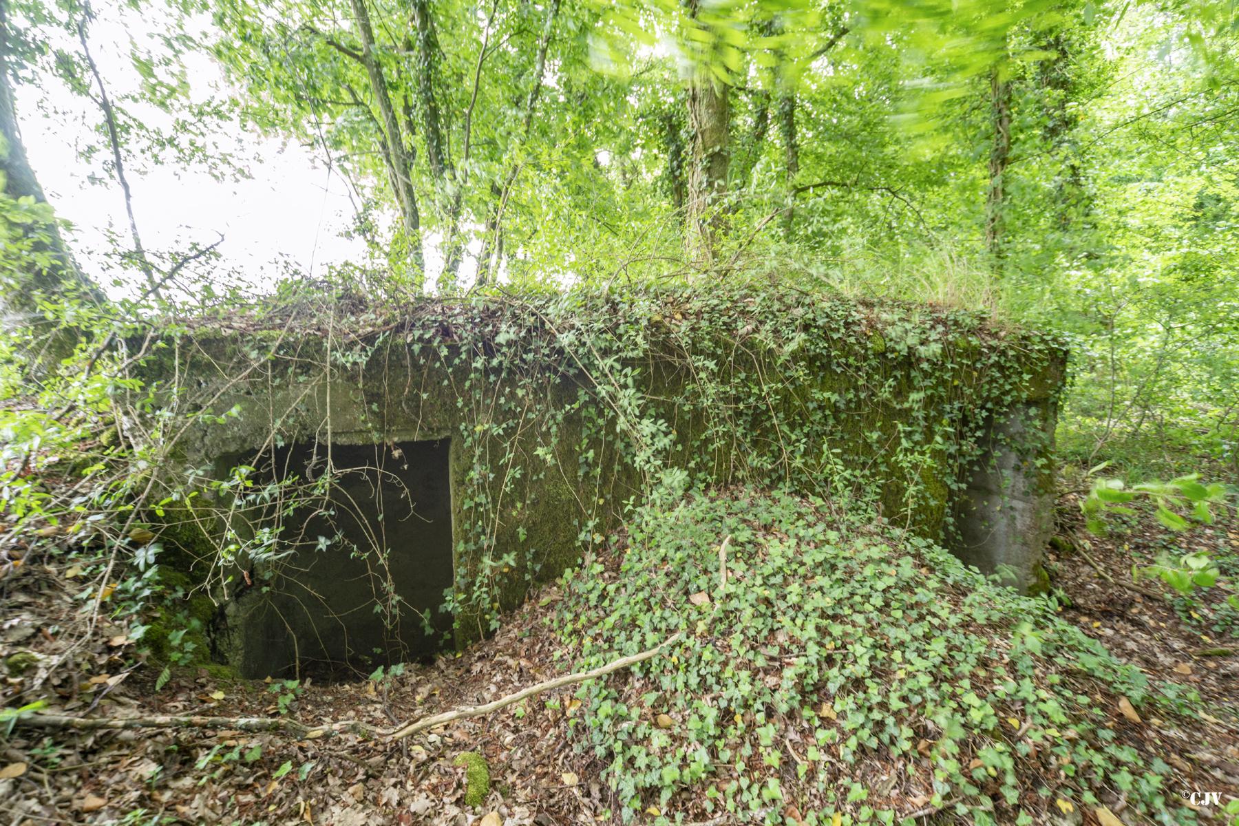 Ligne Maginot - ROUTE DE L'HIMERTEN CENTRE 2 - (Blockhaus pour arme infanterie) - Les entrées - Lia VERMEULEN
