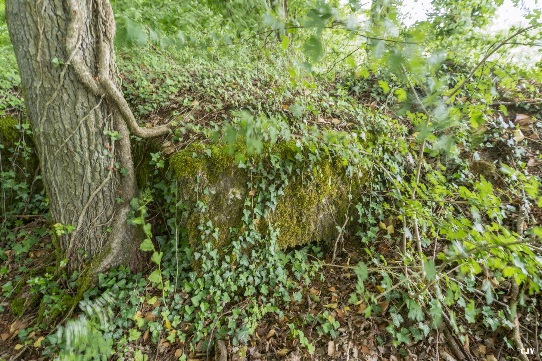 Ligne Maginot - ROUTE DE L'HIMERTEN CENTRE 2 - (Blockhaus pour arme infanterie) - Le créneau - Lia VERMEULEN