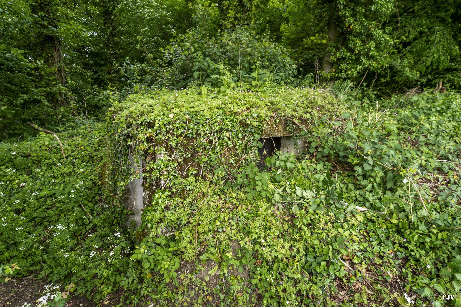Ligne Maginot - ROUTE DE L'HIMERTEN CENTRE 1 - (Blockhaus pour arme infanterie) -  - Lia VERMEULEN
