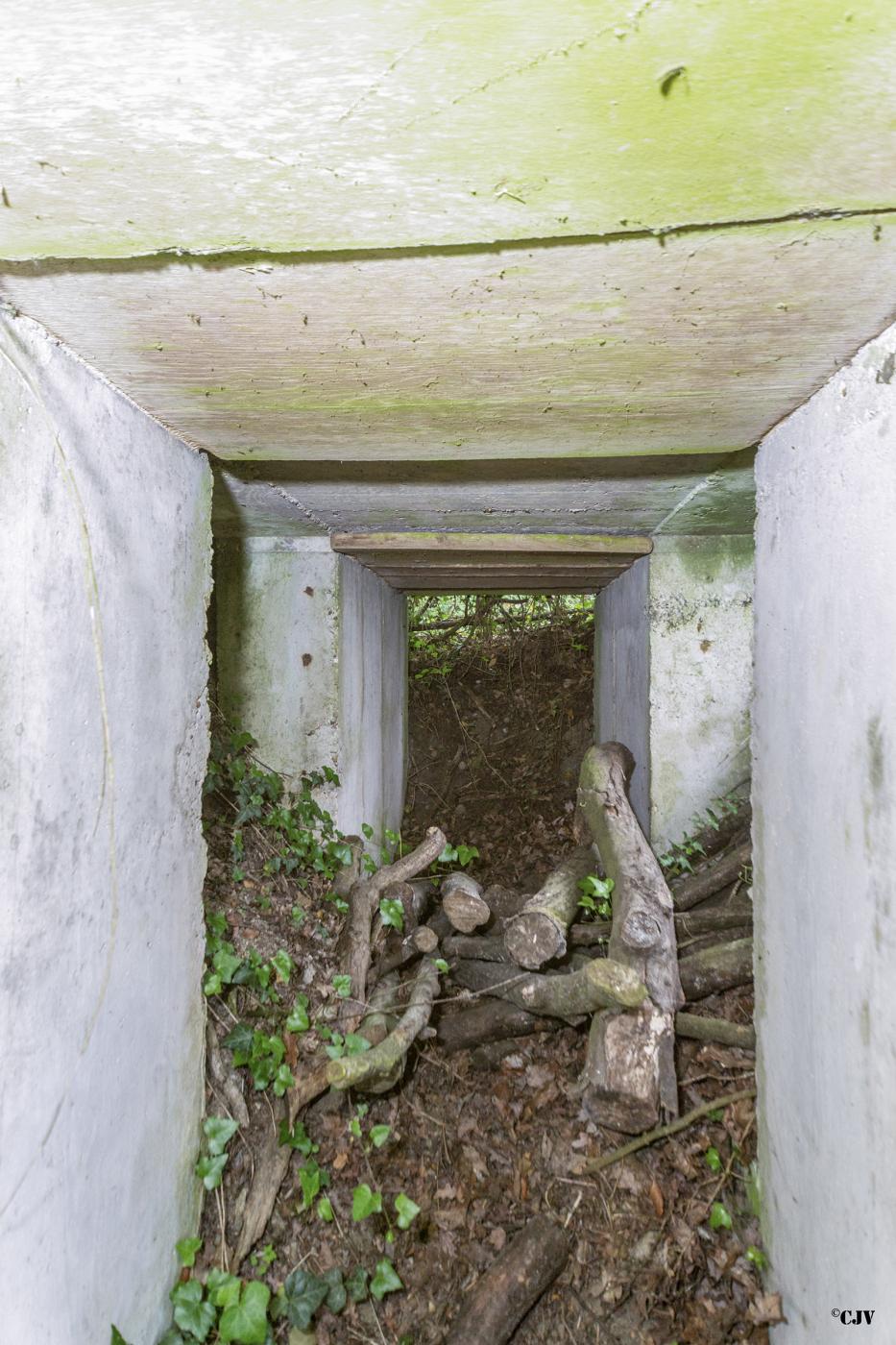 Ligne Maginot - ROUTE DE L'HIMERTEN CENTRE 1 - (Blockhaus pour arme infanterie) -  - Lia VERMEULEN