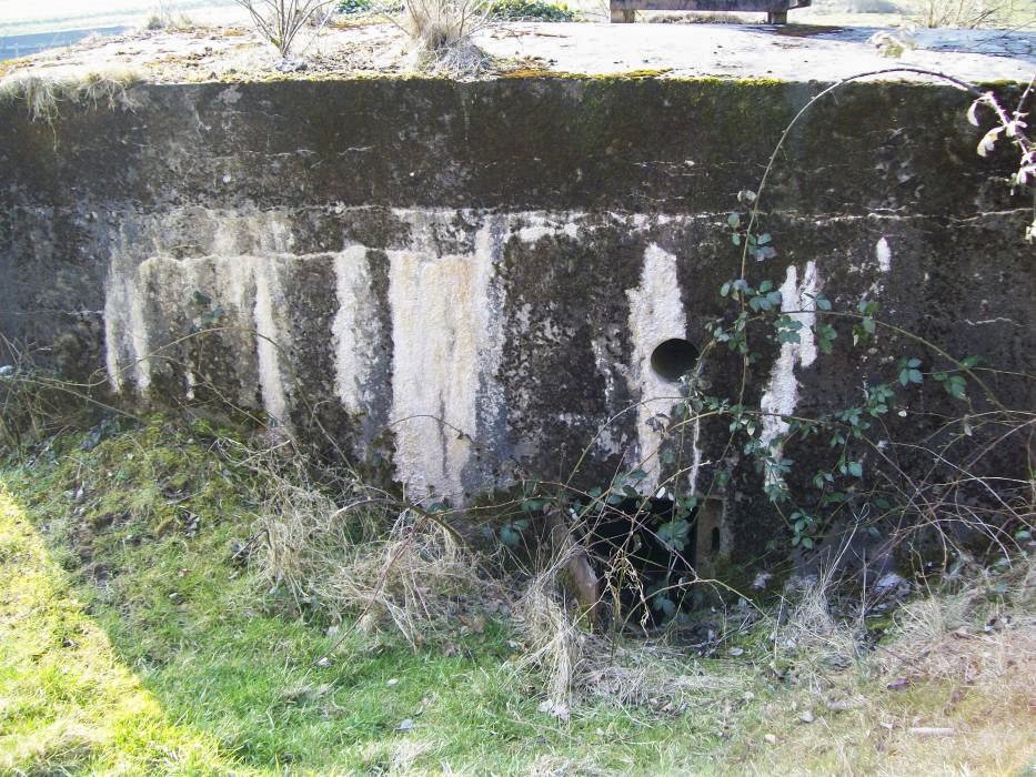 Ligne Maginot - CB140 - BECHPERT 2 - (Blockhaus pour arme infanterie) -  - freddy57