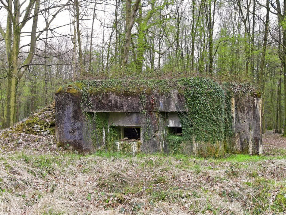 Ligne Maginot - A32 - LA CARRIERE - (Blockhaus pour canon) - Chambre de tir Ouest - François PECHEUX