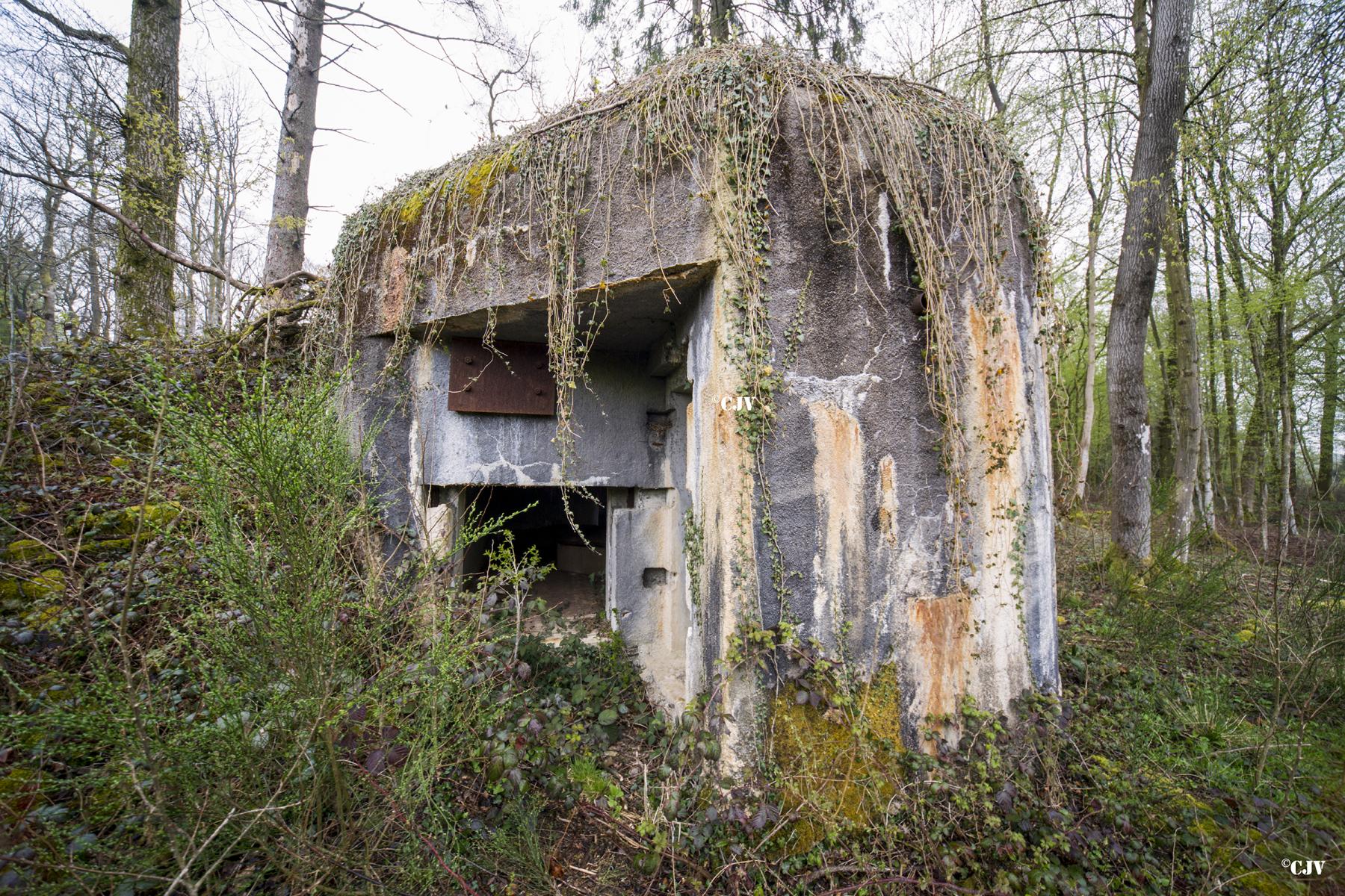 Ligne Maginot - A33 - GRAVIER DE L'AISNE - (Blockhaus pour canon) -  - Lia VERMEULEN