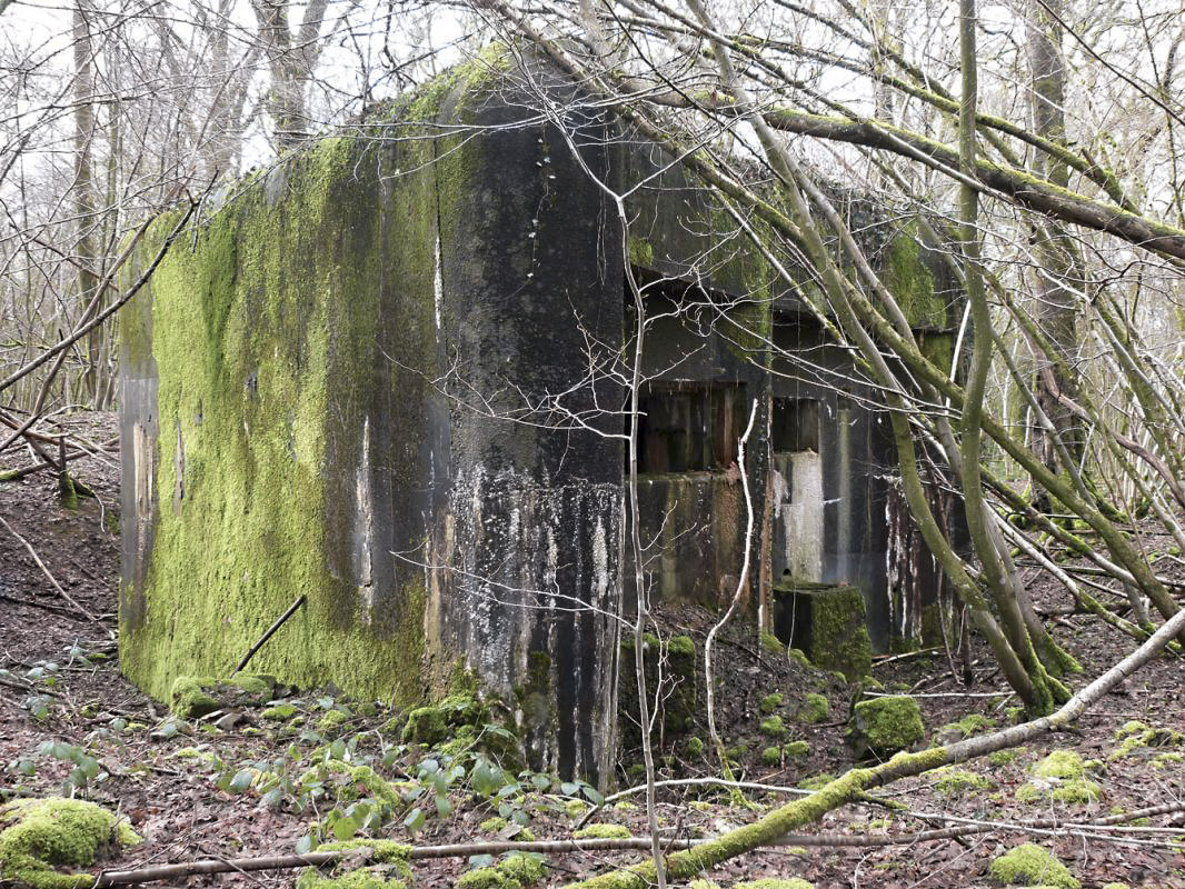 Ligne Maginot - A34 - GRAVIER DU BOIS - (Blockhaus pour canon) -  - JMBrams