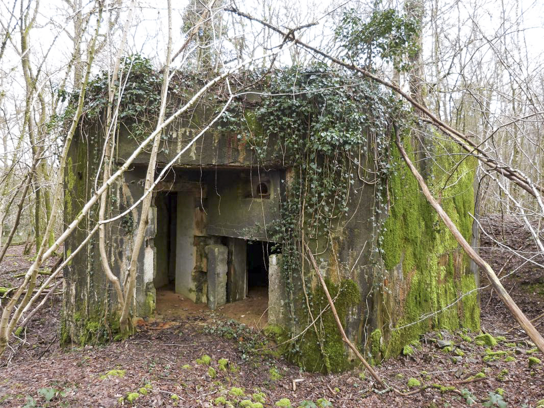 Ligne Maginot - A34 - GRAVIER DU BOIS - (Blockhaus pour canon) - Les entrées - JMBrams