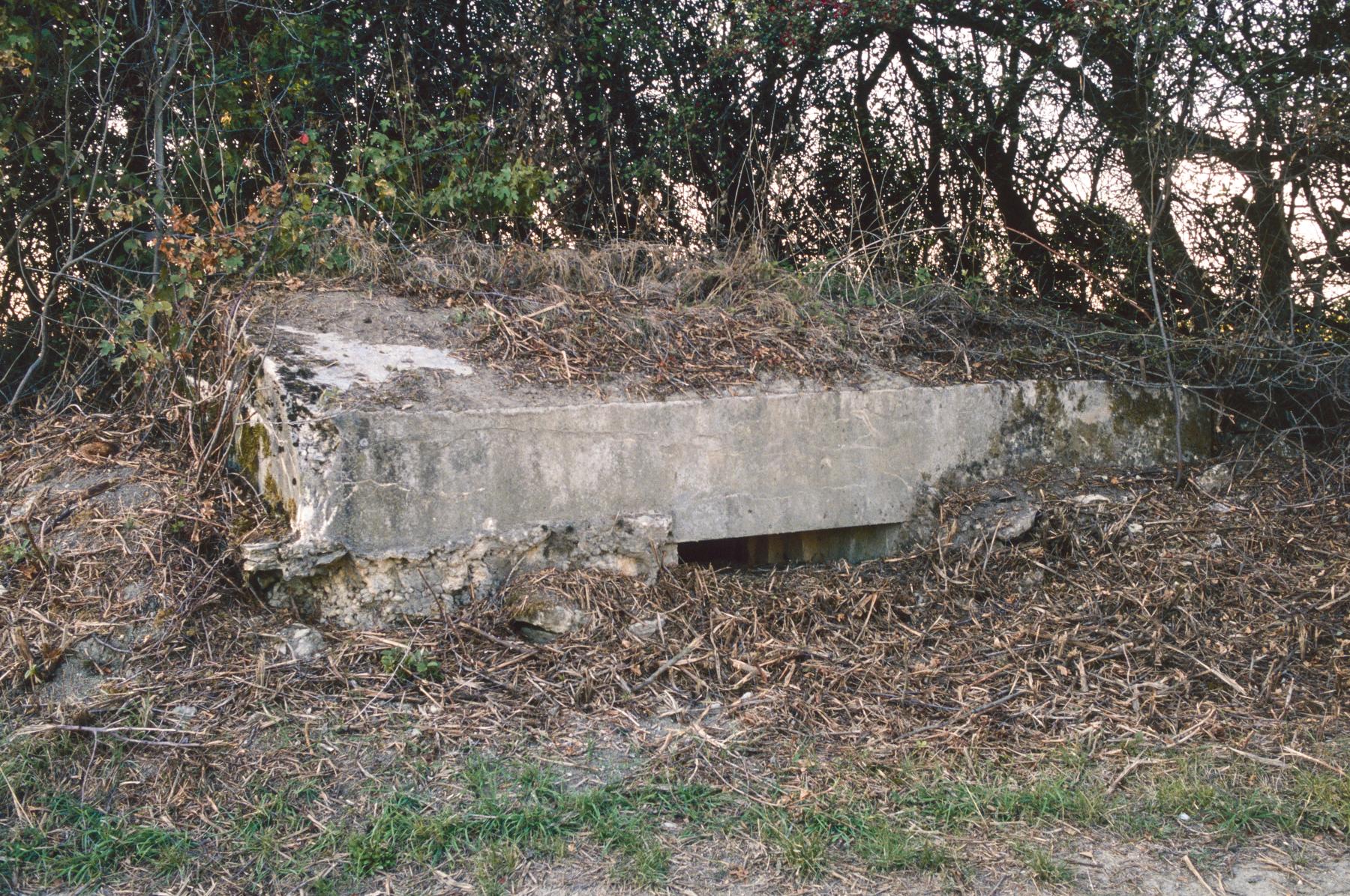 Ligne Maginot - LANGEN EST - (Blockhaus pour arme infanterie) -  - MANSUY Michel