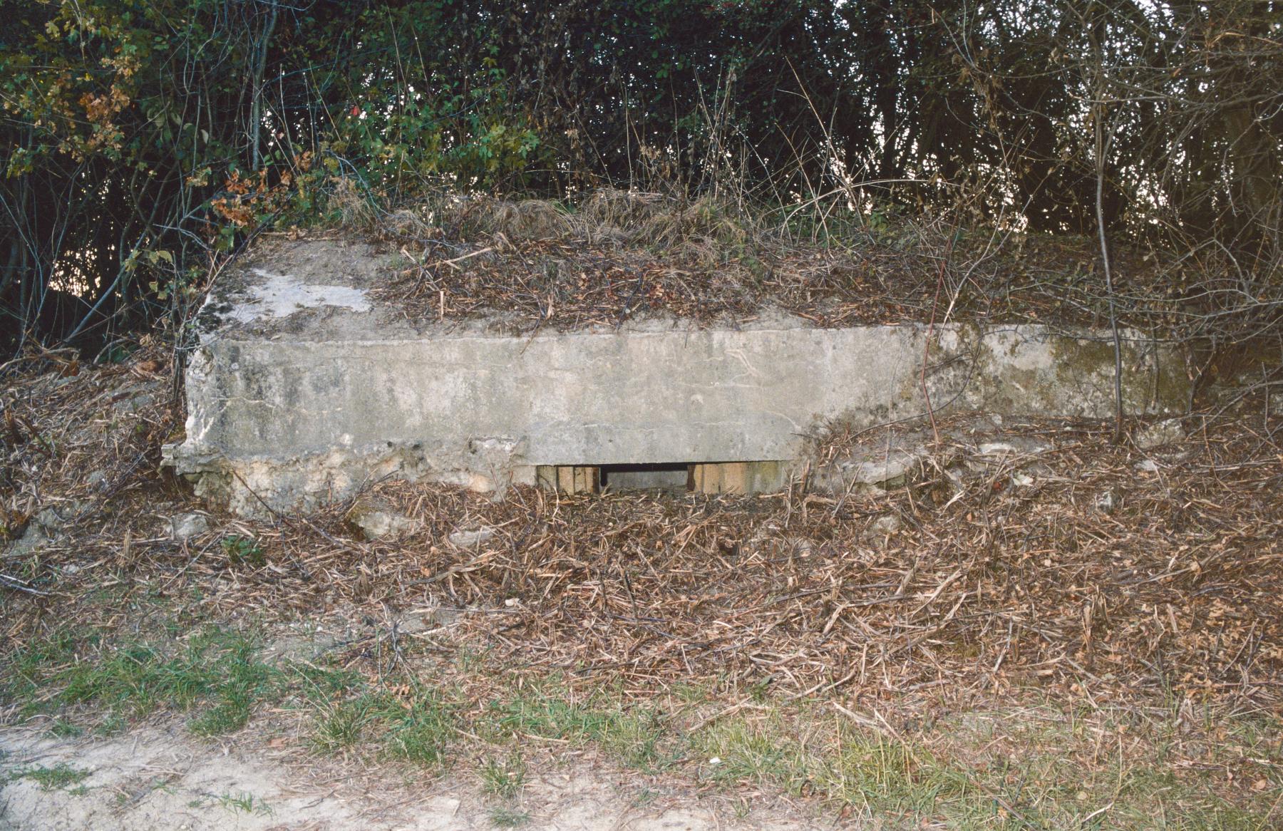 Ligne Maginot - LANGEN EST - (Blockhaus pour arme infanterie) -  - MANSUY Michel