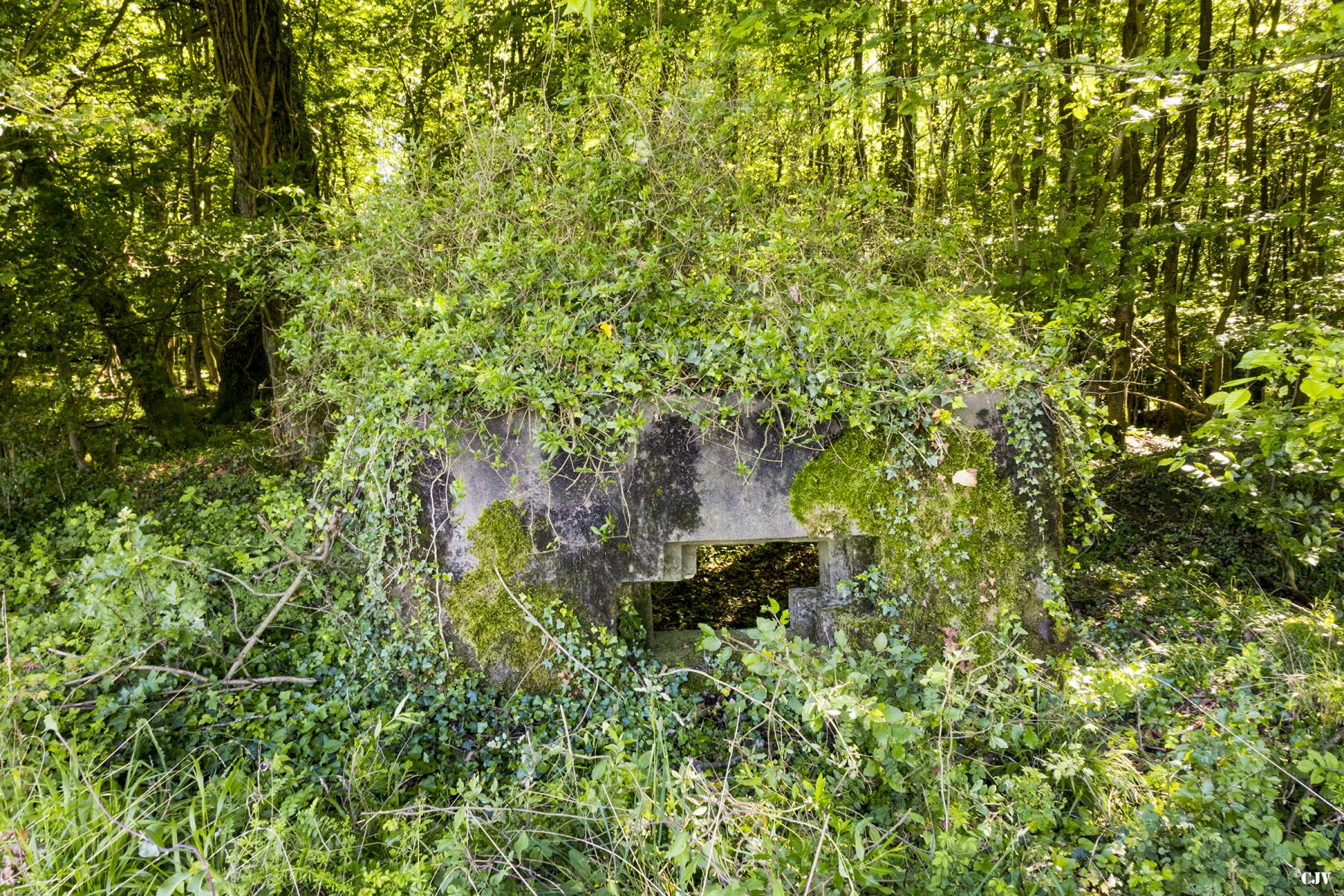 Ligne Maginot - ABO17 - BAMBESCH OUEST - (Blockhaus pour canon) -  - Lia VERMEULEN